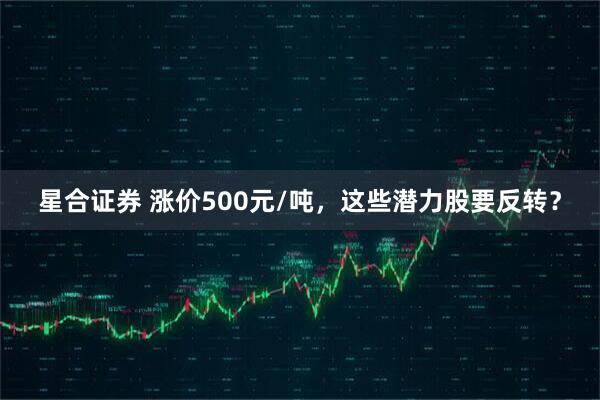 星合证券 涨价500元/吨，这些潜力股要反转？