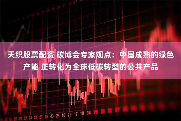 天织股票配资 碳博会专家观点：中国成熟的绿色产能 正转化为全球低碳转型的公共产品