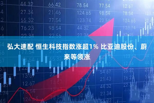 弘大速配 恒生科技指数涨超1% 比亚迪股份、蔚来等领涨