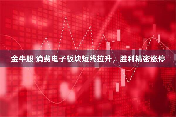 金牛股 消费电子板块短线拉升，胜利精密涨停