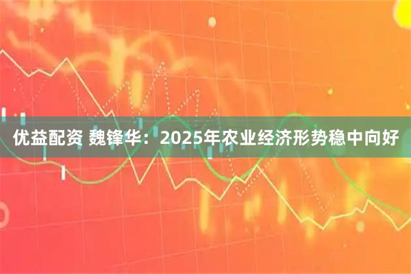优益配资 魏锋华：2025年农业经济形势稳中向好