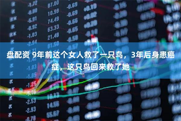 盘配资 9年前这个女人救了一只鸟，3年后身患癌症，这只鸟回来救了她