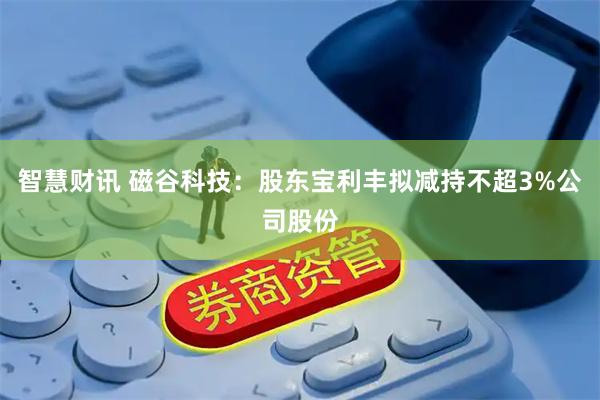 智慧财讯 磁谷科技：股东宝利丰拟减持不超3%公司股份