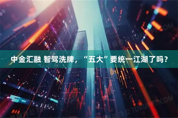 中金汇融 智驾洗牌，“五大”要统一江湖了吗？