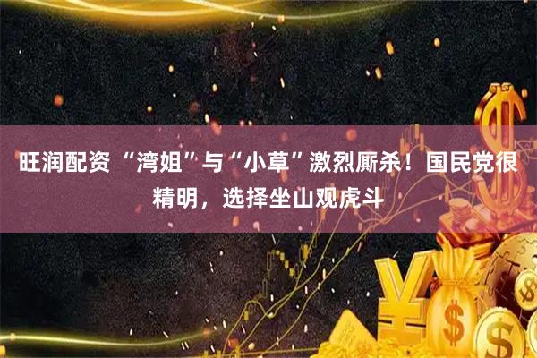 旺润配资 “湾姐”与“小草”激烈厮杀！国民党很精明，选择坐山观虎斗