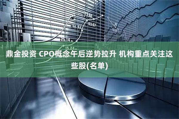鼎金投资 CPO概念午后逆势拉升 机构重点关注这些股(名单)