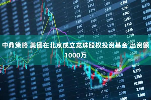 中鼎策略 美团在北京成立龙珠股权投资基金 出资额1000万